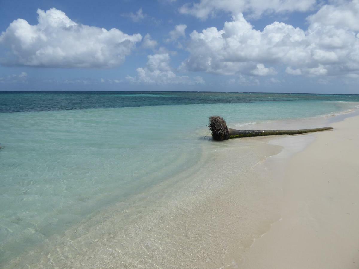 Appartement proche de la mer Ty Manganao Saint-Francois  Bagian luar foto